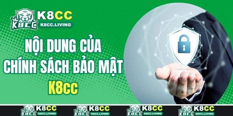 Khám phá nội dung trọng tâm của chính sách bảo mật